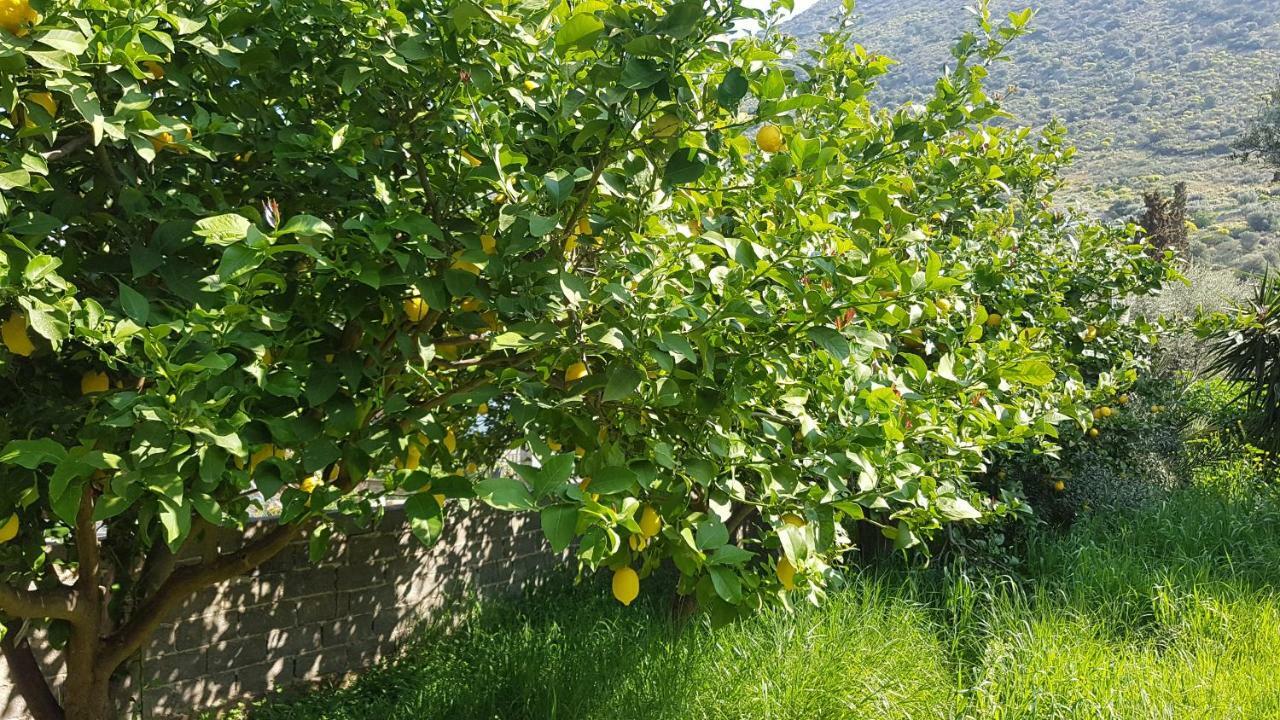 Oasis Studios Ag Pantes Agioi Pandes المظهر الخارجي الصورة